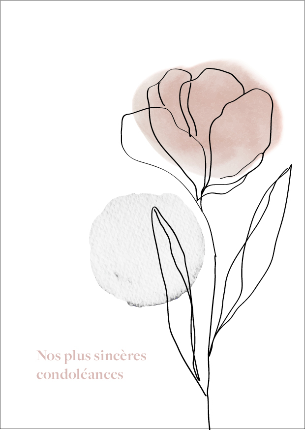 Pack condoléance "coffret de 12 cartes"