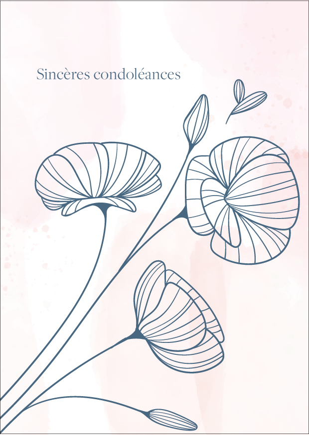 Pack condoléance "coffret de 12 cartes"