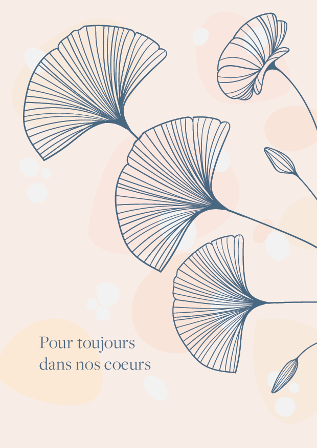 Pack condoléance "coffret de 12 cartes"