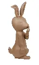 XLA23O_2.webp