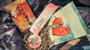 Pack carnet "Mon Amie Luce"