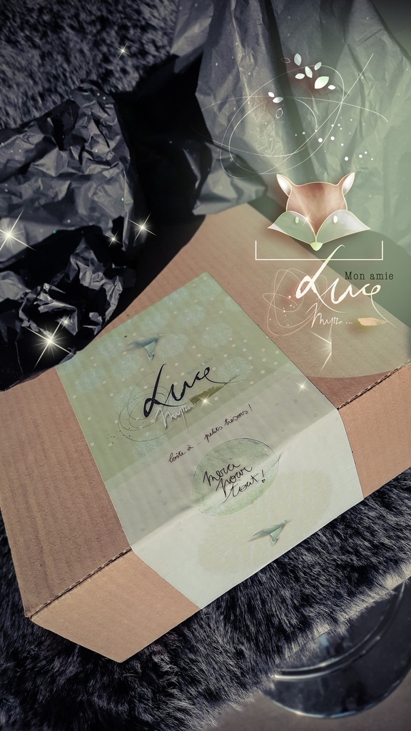 Pack livre à colorier 2 "Mon Amie Luce"