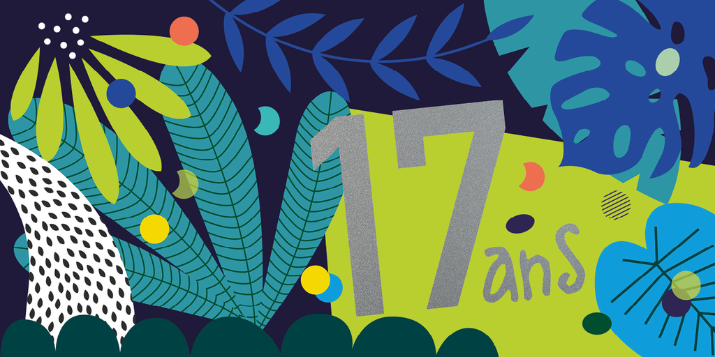 CD 856 - Carte d'anniversaire 17 ans