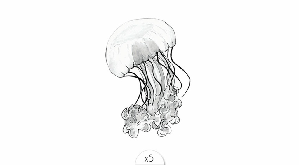 JELLYFISH