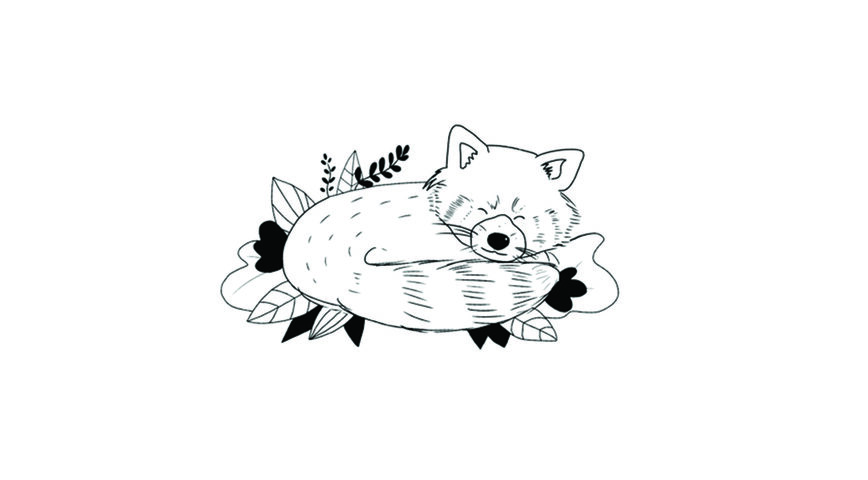 Tattoo Panda Roux