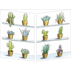 CT 323 Carte Cache-Cache (Sophie Turrel) "Cactus"