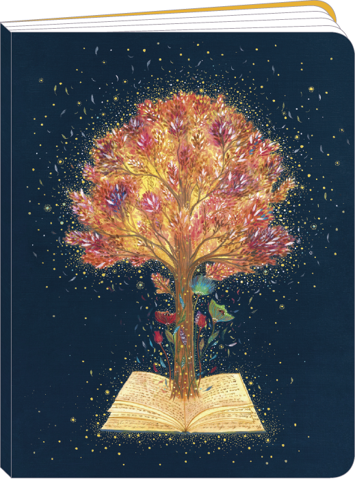 Cahier 17x22 ligné 80P J. Weyman