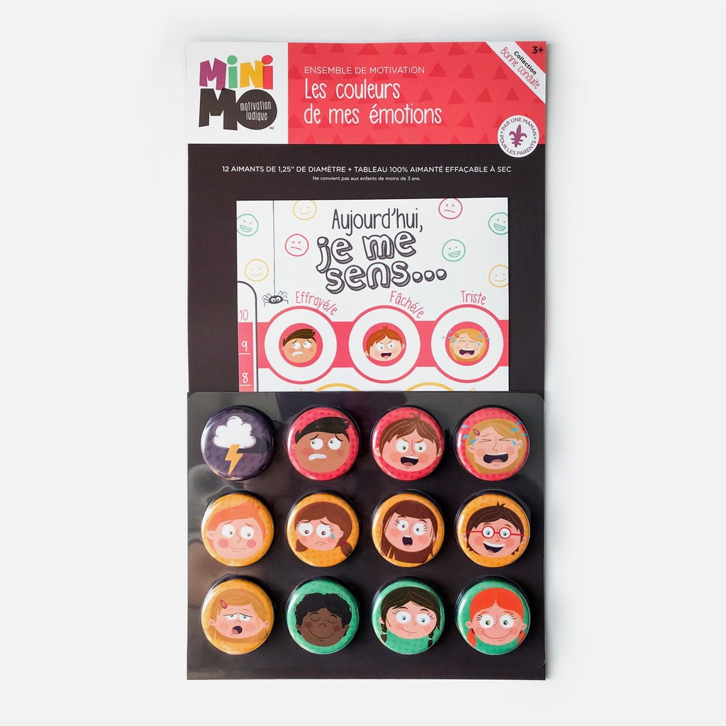Les couleurs de mes émotions (tableau + 12 aimants)