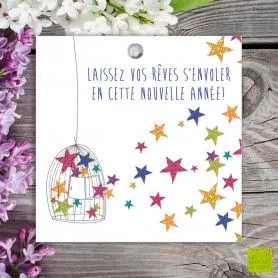[MC 529] MC 529 - Carte cadeau "Laissez vos rêves s'envoler"