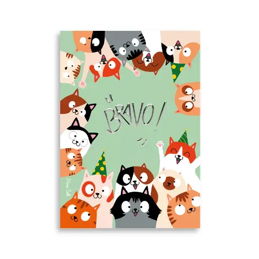 [CS 1063] CS 1063 Aline Selli "Bravo"