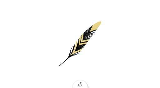 [SIDVC01] Golden and black feather