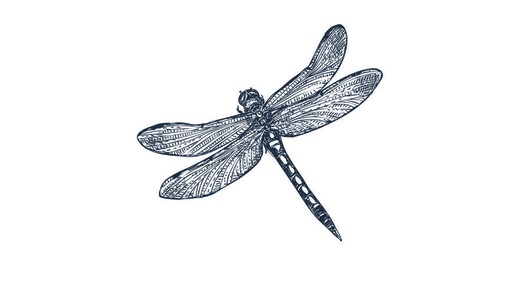 [SIBB04] Tattoo Libellule