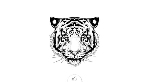 [SIBR04] Tiger