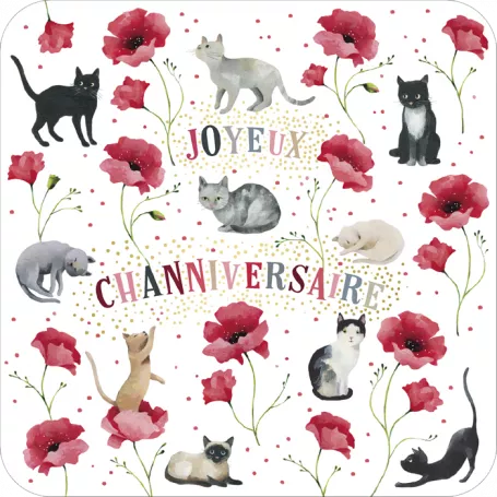 [BAR 195] BAR 195 Carte bords arrondis 14x14 A. Blanz "Cats"