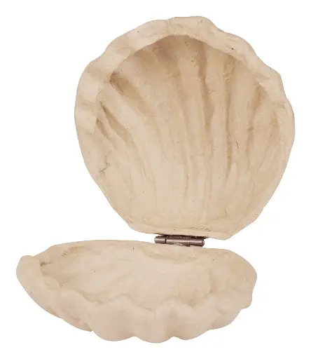 [BT078C] Boîte coquillage 12x12x5cm