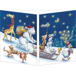 [CT 157] CT 157 Carte Cache-Cache "Les cueilleurs d'étoiles"