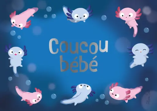[CS 1269] CS 1269 - Aline Selli "Coucou bébé"