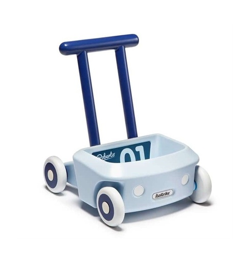 [4020ROB996775] Roberto bleu