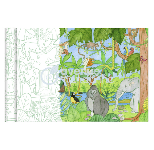 [GY127C] Graffy Roll, Jungle