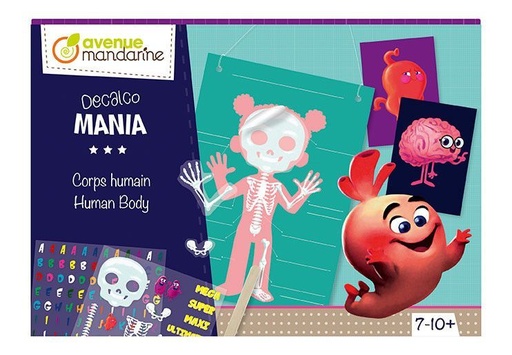 [KC096C] Creatieve Box, Decalco,Menselijk lichaam