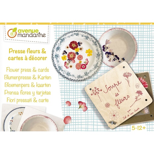 [KC131C] Boîte créative, Pressefleurs et cartes postales à décorer