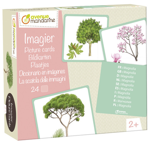 [JE525C] Imagier, Arbres