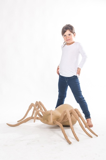 [XLA15O] Araignée 100cm